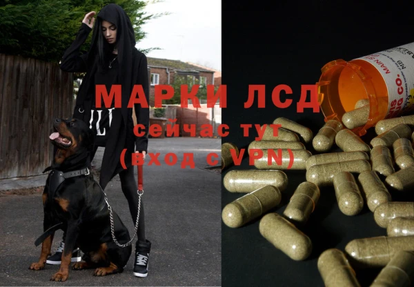 МДПВ Арсеньев