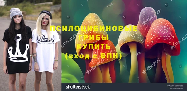 МДПВ Арсеньев